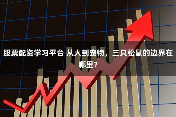股票配资学习平台 从人到宠物，三只松鼠的边界在哪里？
