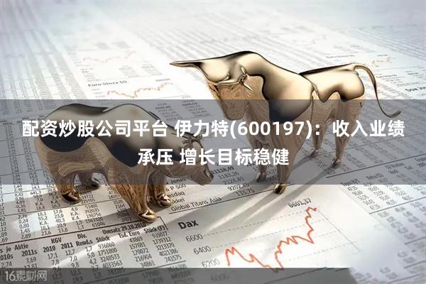 配资炒股公司平台 伊力特(600197)：收入业绩承压 增长目标稳健